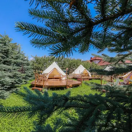 Valea Doftanei Glamping Luxury tent *